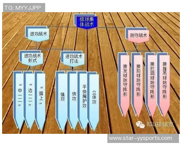 运动最新数据深圳排球队战术解析与控制策略深度剖析